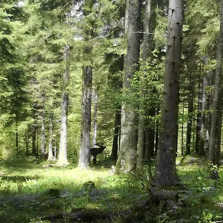 Vorderstoder