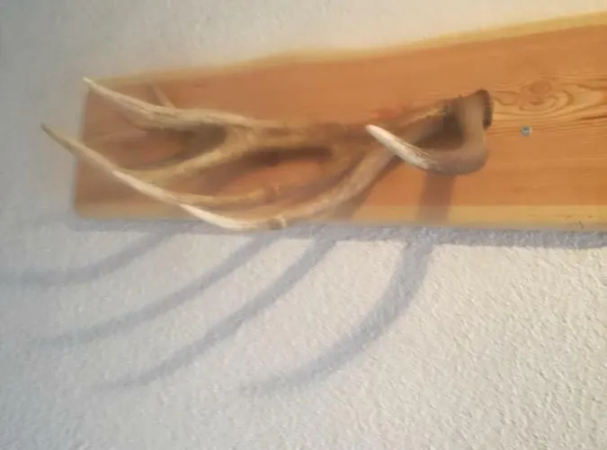 Διαμέρισμα Vorderstoder *