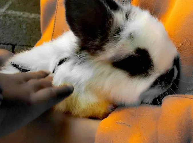 Vorderstoder Διαμέρισμα