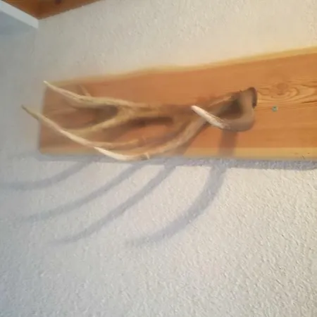 Apartment Vorderstoder *